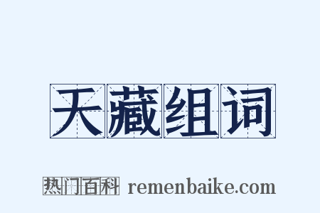 天藏组词是什么意思的图片
